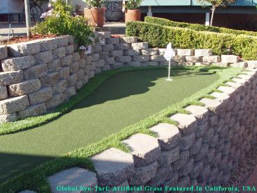 Synthetic Lawn Palo Cedro, California Backyard Putting Green, Backyard Landscape Ideas artificial grass