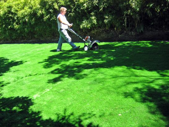 Artificial Grass Photos: Synthetic Lawn Plumas Eureka (historical), California Lawn And Landscape, Beautiful Backyards