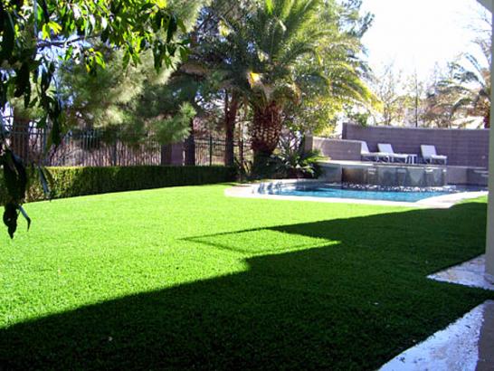 Artificial Grass Photos: Synthetic Lawn Sheridan, California Paver Patio, Backyard Ideas
