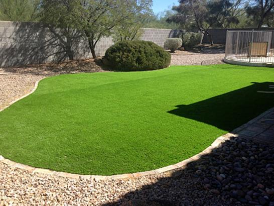 Artificial Grass Photos: Synthetic Lawn Smartsville, California Lawns, Small Backyard Ideas