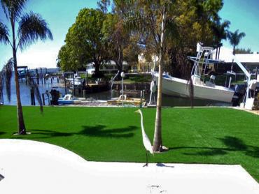 Artificial Grass Photos: Synthetic Lawn Trinity Center, California Home And Garden, Backyard Landscaping Ideas