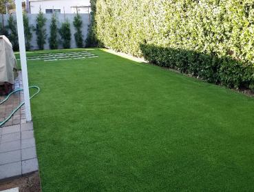 Artificial Grass Photos: Synthetic Lawn Weott, California Home And Garden, Backyard Design