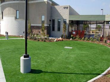 Artificial Grass Photos: Synthetic Lawn Westwood, California Landscaping, Commercial Landscape