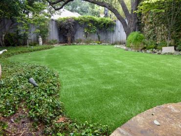 Artificial Grass Photos: Synthetic Turf Graeagle, California Landscaping Business, Backyards
