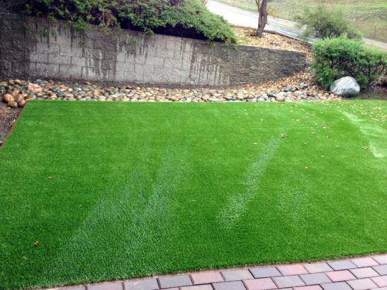 Synthetic Turf Pike, California Garden Ideas, Backyard Designs artificial grass