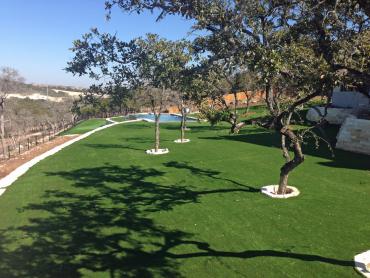 Artificial Grass Photos: Synthetic Turf Round Mountain, California Gardeners, Above Ground Swimming Pool