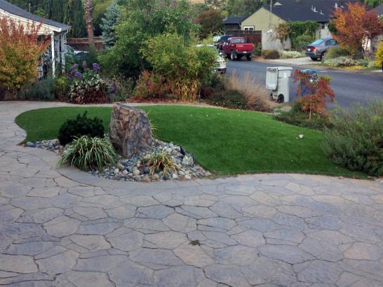 Artificial Grass Photos: Synthetic Turf Supplier Beale Air Force Base, California Landscape Ideas, Front Yard Design