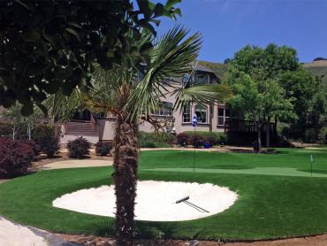 Artificial Grass Photos: Synthetic Turf Supplier Edgewood, California Putting Green Grass, Front Yard Landscaping