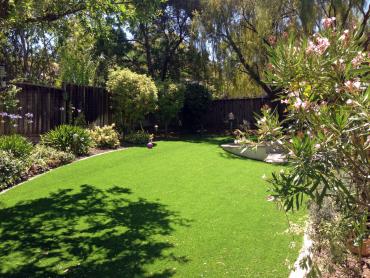 Artificial Grass Photos: Synthetic Turf Supplier Miranda, California Landscaping Business, Small Backyard Ideas