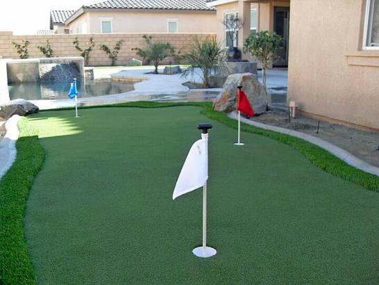 Artificial Grass Photos: Synthetic Turf Supplier Oroville, California Roof Top, Backyard Landscaping