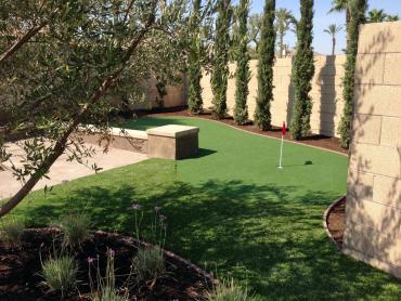 Artificial Grass Photos: Synthetic Turf Supplier Palermo, California Artificial Putting Greens, Backyard Designs