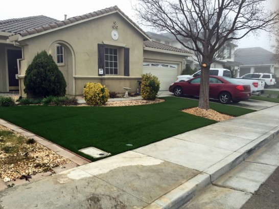 Artificial Grass Photos: Synthetic Turf Supplier Redwood Valley, California Landscape Photos, Front Yard Ideas