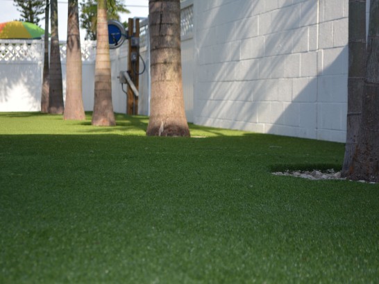 Artificial Grass Photos: Synthetic Turf Talmage, California Design Ideas, Commercial Landscape