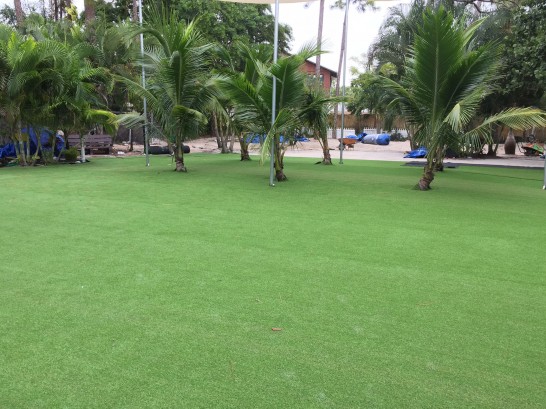 Artificial Grass Photos: Turf Grass Alleghany, California Landscaping Business, Commercial Landscape