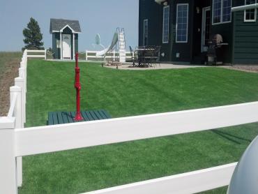 Artificial Grass Photos: Turf Grass Colfax, California Roof Top, Front Yard Design