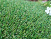 Petgrass-55 Artificial Grass
