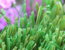 Realistic Plastic Grass